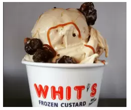 whits custard image